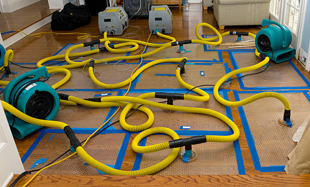 Professional Crawl Space Water Removal technician working in Hampton, GA